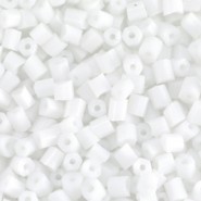 Seed beads Special buggles - ± 4 mm White